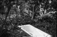 2007-04-VII039-baignoire-va.jpg