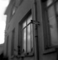 2007-08-VII-brownie407.jpg