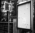 2008-03-VI053.jpg