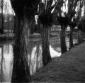 2008-03-VI054.jpg