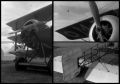 2009-06-I-triptyquebis.jpg
