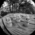 canards003.jpg