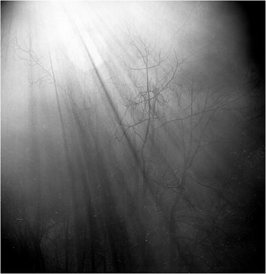 Through the clouds
