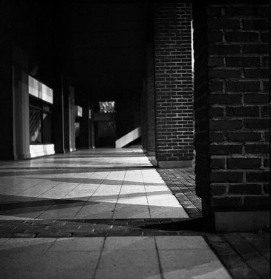 autoportraisie #2
