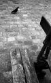 hp5_1600061_copie.jpg