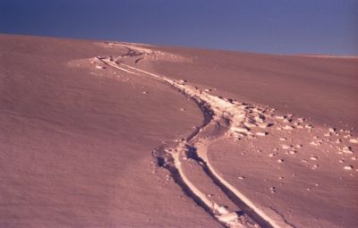 traces

