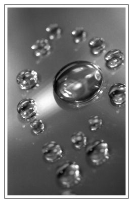 Encerclement
Olympus OM2 50/1,8  f/8 à 1/125s
APX 400
ID11 17,5s
