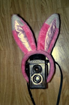 Oreilles de lapin
