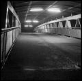 Tunnel.jpg