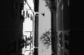 img076b.jpg