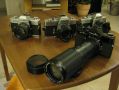 Collection_Sr-T-2.JPG