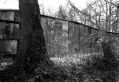 Essai_Contax017.jpg