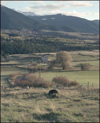 cerdagne
mamiya RB67 - reala 100 - 127mm
