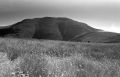 CXARIA-TMAX400-orange-005b.jpg