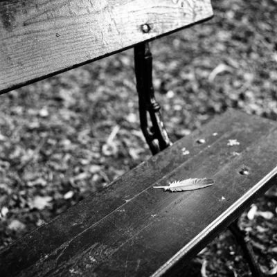 rollei_2007_07_17_001.jpg