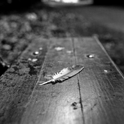 rollei_2007_07_17_003.jpg