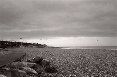 Cote-Normande2-Web.jpg