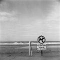 Chien-baignade-non-surveillé-web.jpg