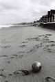 plage-ballon-2-web.jpg