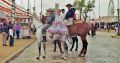010_9_(800x420).jpg