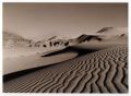 Sable-N_B-Sepia.jpg