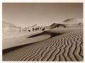Sable-Sepia.jpg