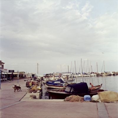 img011.jpg