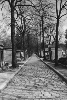 Père Lachaise - 1
Allée au cimetière du Père Lachaise.

EOS 300V+Tamron 28-75/ Delta 100 / D76 / Tetenal RC / Krokus 4
