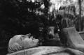 lachaise-1~0.jpg