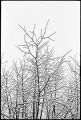neige-fenetre-1.jpg
