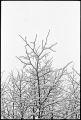 neige-fenetre-2.jpg