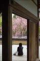 ryoan-ji-05.jpg