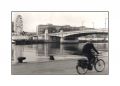 roues_en_Seine.jpg