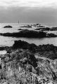 Phare_à_Ouessant.jpg