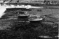 bateaux_amarrés_(basse)~0.jpg