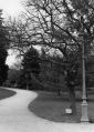 chemin_du_Thabor~0.jpg