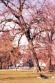 2009_04_sensia_100_c41041.jpg