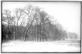 tempete_de_neige2.JPG
