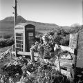 ecosse-33.jpg