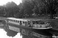 etoile006w.jpg