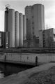 portrhin015w.jpg