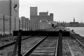 portrhin025w.jpg