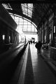 350Départ-02bw.jpg