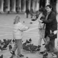 35mm-Pigeons2-bw.jpg