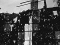 Abandon-02.jpg
