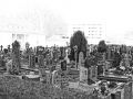 Abandon-03.jpg