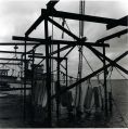 img126.jpg