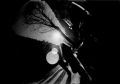 Fisheye3_2__8X6.jpg