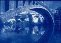 Cyanotype71.jpg