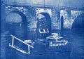 Cyanotype81.jpg